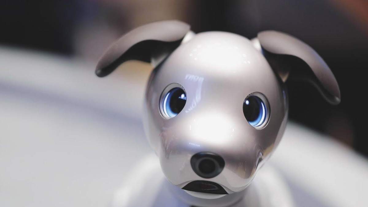 Роботизированный пес компании Sony Роботизированный пес компании Sony