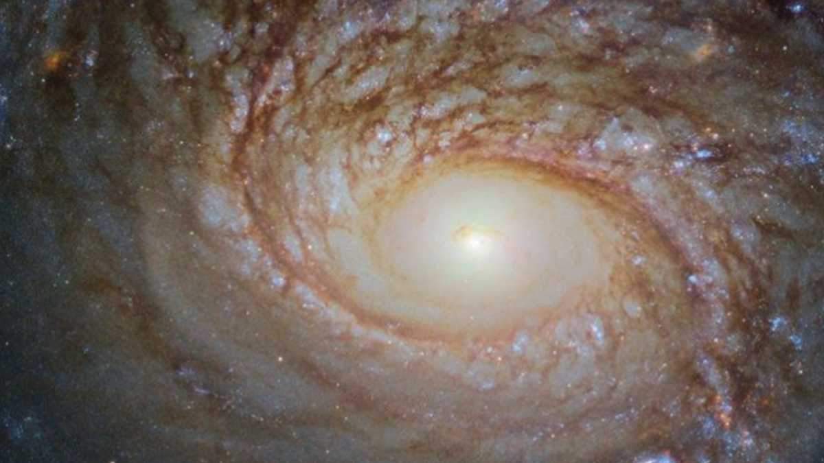 Фото галактики NGC 772 Фото галактики NGC 772