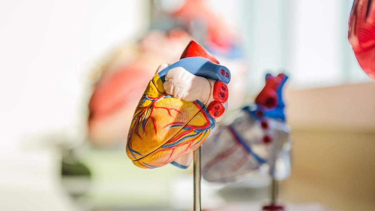 Сервіс Cardio Visionдля боротьби із хворобами серця Сервіс Cardio Visionдля боротьби із хворобами серця