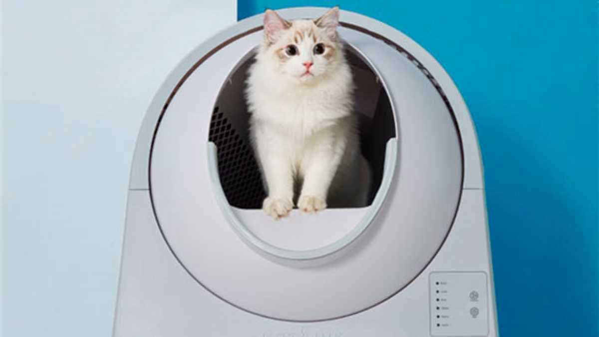 Розумний туалет для котів від Xiaomi що це таке і як працює Новини