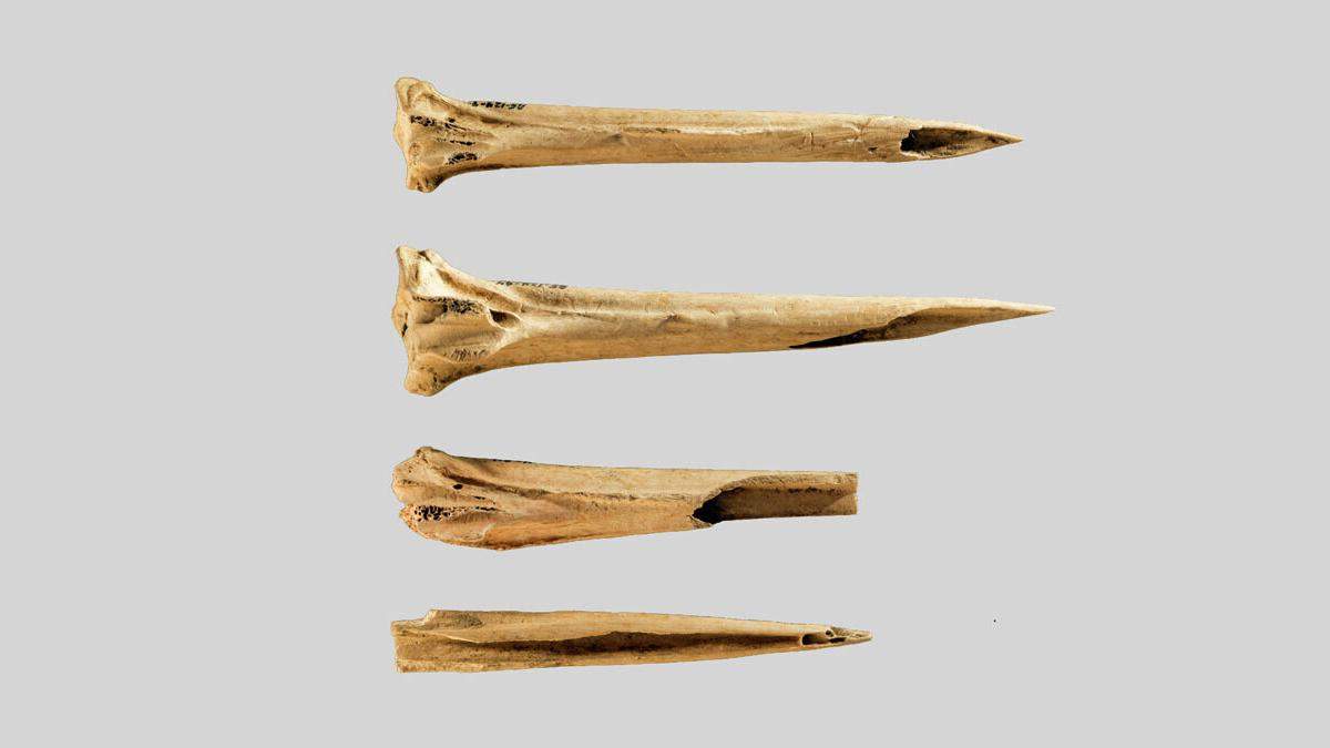 Археологи виявили найдавніші інструменти для татуювань