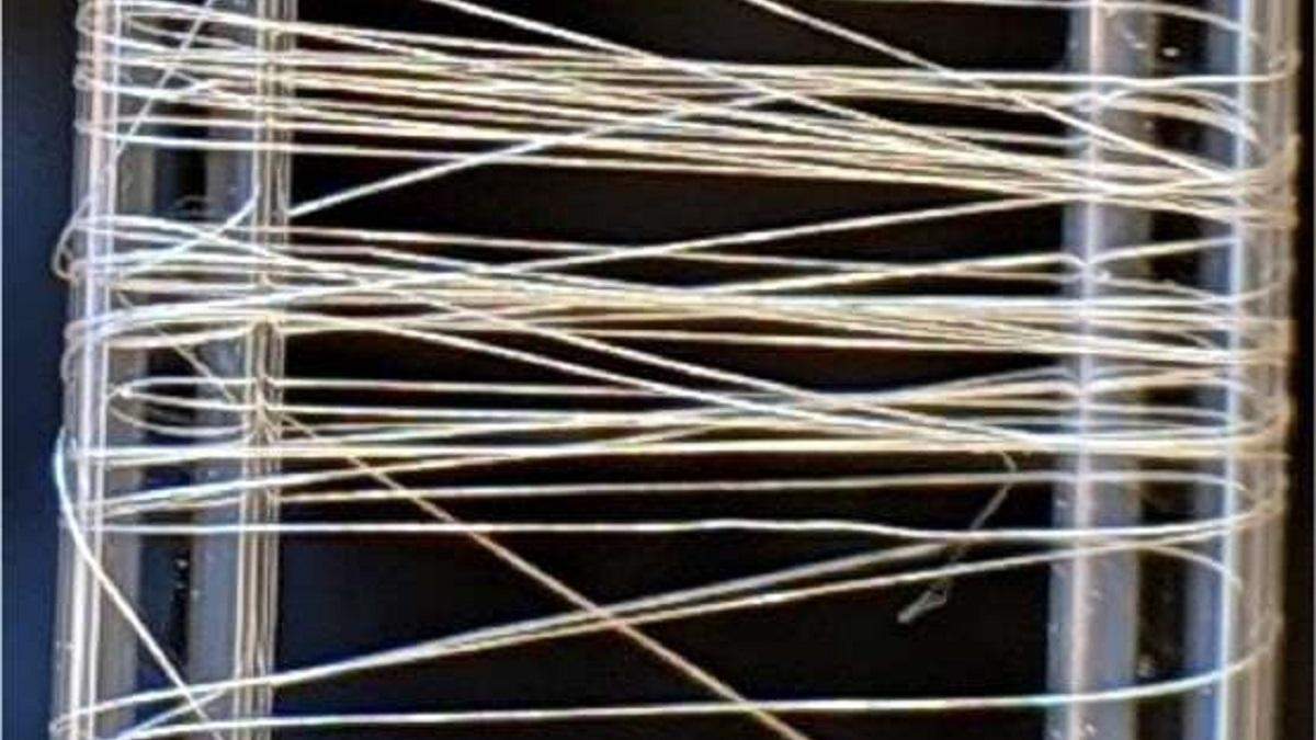Дослідники створили надміцні волокна штучної павутини