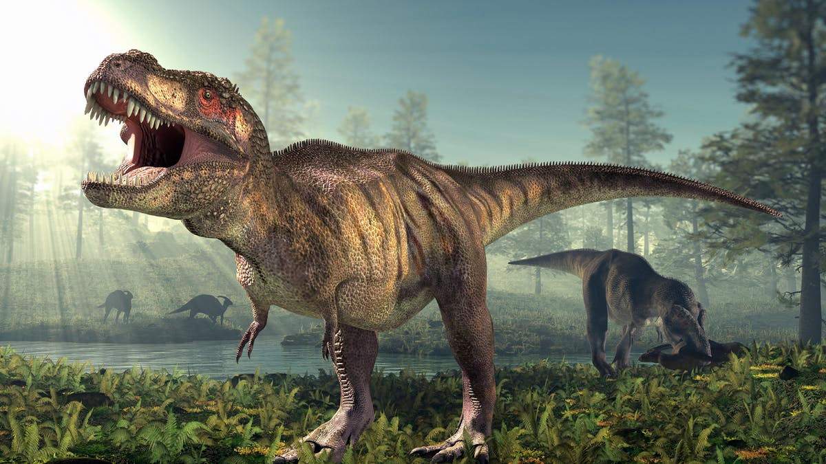 Почему динозавры стали доминировать на Земле: ответ ученых