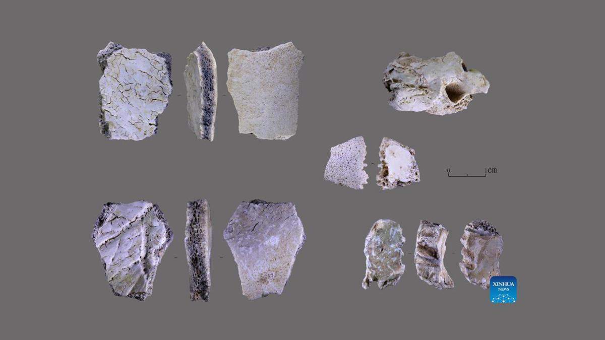 Китайские археологи нашли человеческие останки возрастом в 32 тысячи лет