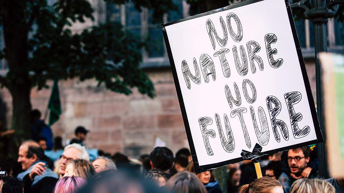 Sixth mass extinction has already begun: climatologist told how