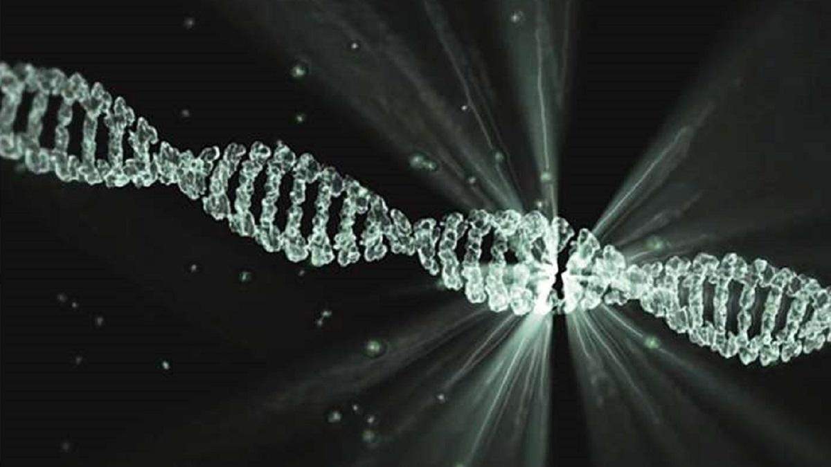 Scientists have found a revolutionary recipe for a superconductor in DNA