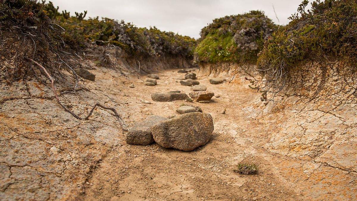 The fourth human remains were found at the bottom of the lake, which has become shallow due to drought.