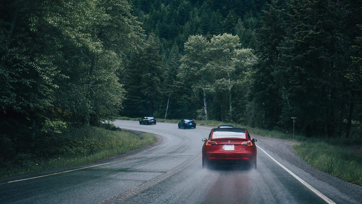 Tesla fans ready to risk their own kids to prove Autopilot’s safety