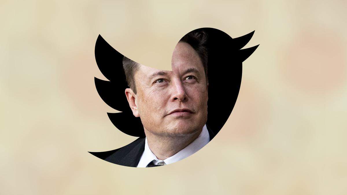 The court ruled that Twitter provided Elon Musk with data about his spam accounts.
