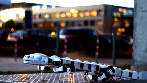 Інновації. Робот-саламандра, лазерна проекційна мишка, благодійник Роберт Дауні