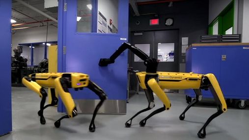 У роботов-собак появилась рука-манипулятор: видео