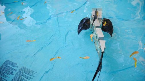 Вчені створили нового робота-рибу для дослідження підводного світу