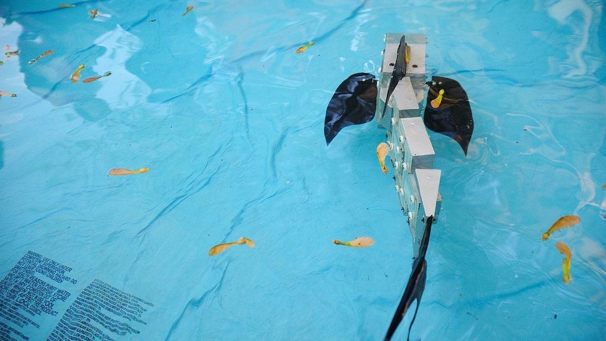 Ученые создали нового робота-рыбу для исследования подводного мира
