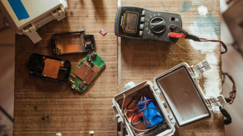 Искусственный интеллект поможет бороться с нелегальной вырубкой лесов