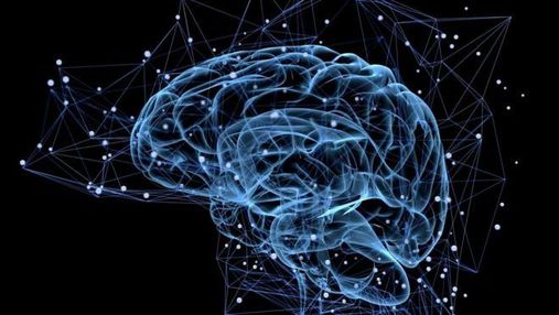 Науковці успішно протестували протез пам'яті для мозку 