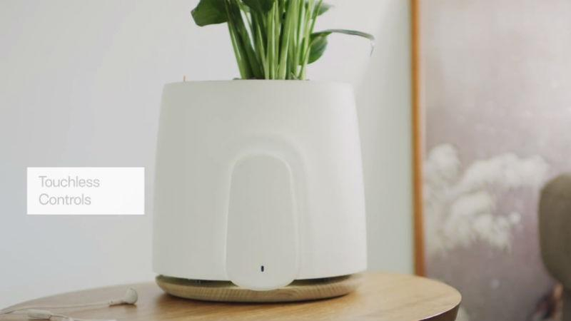 Представили "умный" очиститель воздуха: чем уникальна новинка