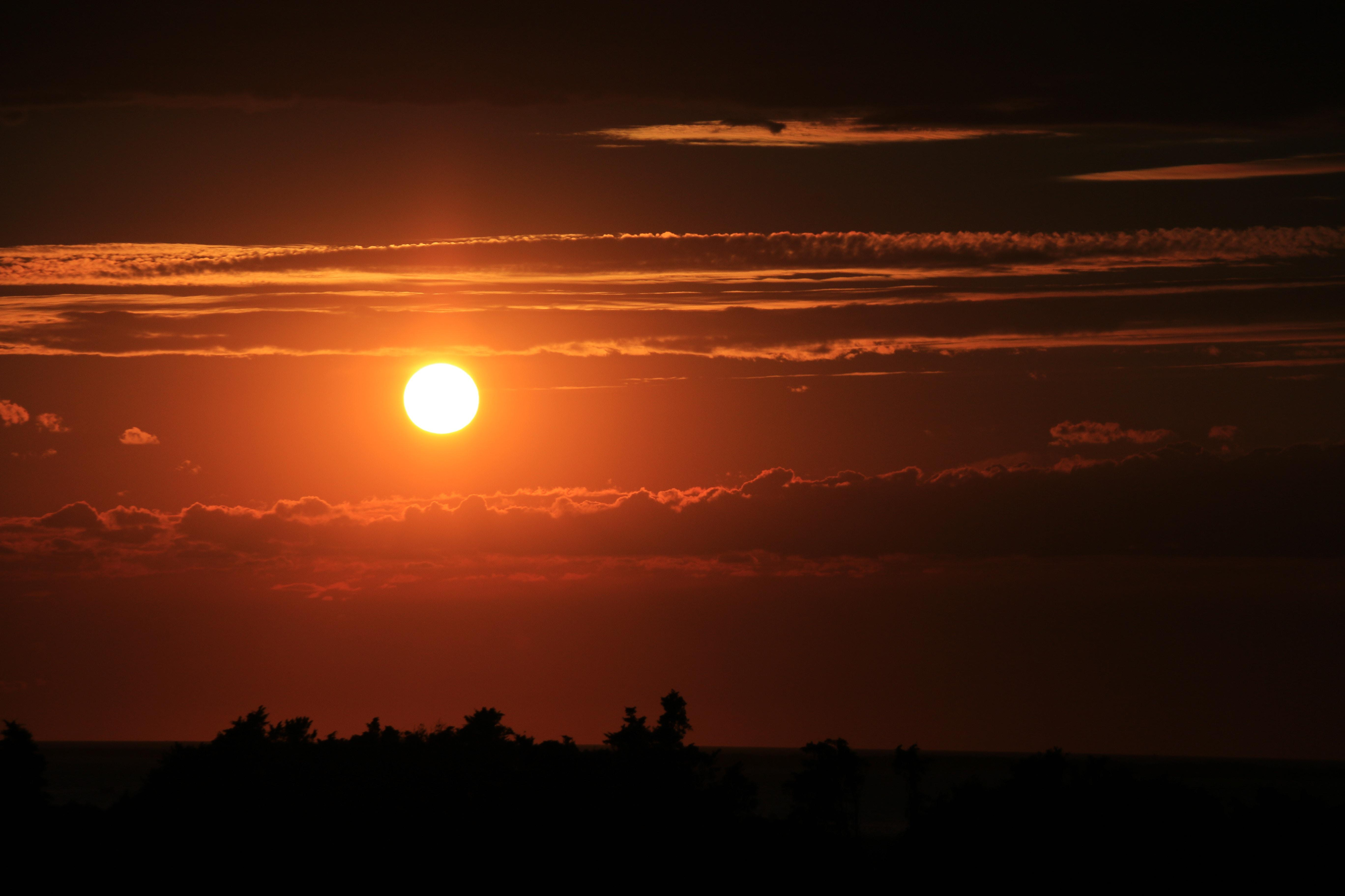 Астрономи заявили про спалахи на Сонці у найближчі дні