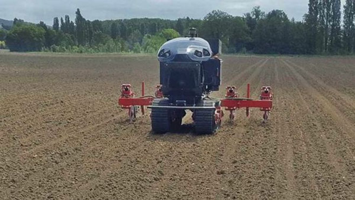 Французи представили роботів, які спростять процес вирощування кукурудзи