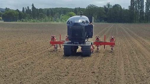 Французы представили роботов, которые упростят процесс выращивания кукурузы