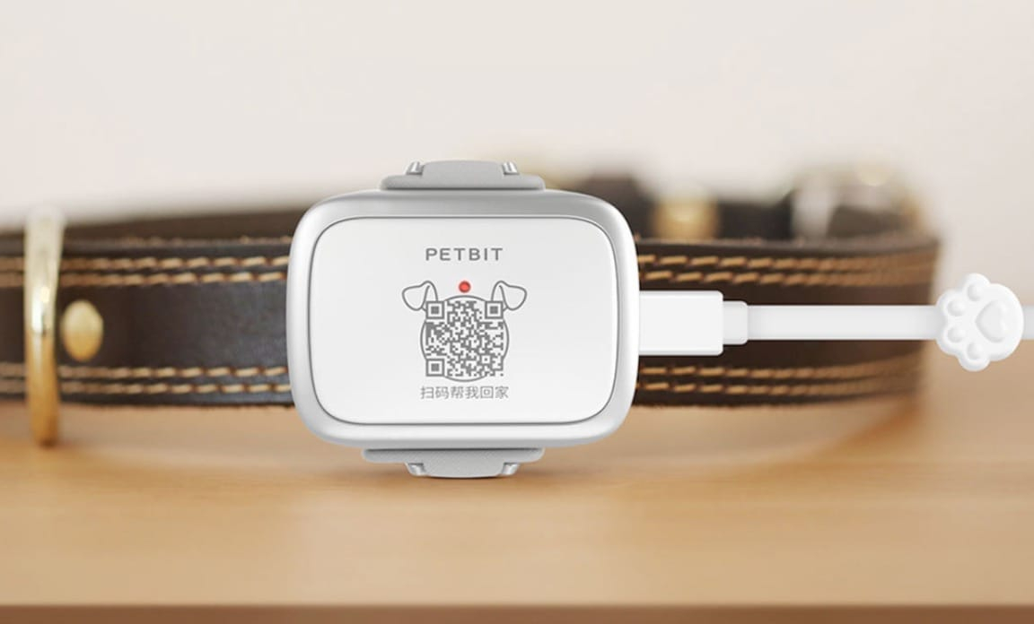 Xiaomi PetBit: обзор, характеристики, фото умного ошейника