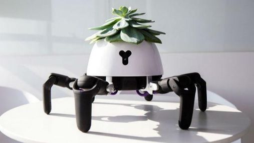 Китаєць створив робота, що доглядає за домашніми рослинами: як це виглядає