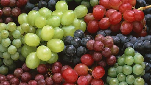 У винограді виявили панацею від найсмертоноснішої форми раку 