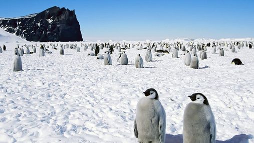 Українці позмагаються за конкурсне місце на  Антарктиді