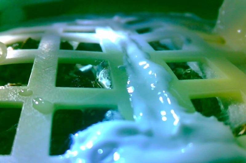 Китайский зонд "Чанье-4" вырастил хлопок на Луне