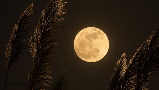 Как выглядит поверхность Луны: невероятные фото зонда Beresheet
