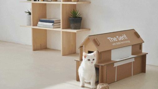 Samsung створила екологічну упаковку, з якої можна зробити хатку для кота