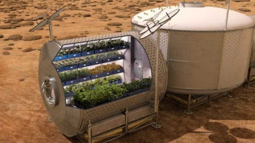 На МКС виростили салат: яка мета експерименту