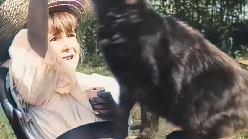 Нейросеть улучшила и раскрасила первое видео с котиком