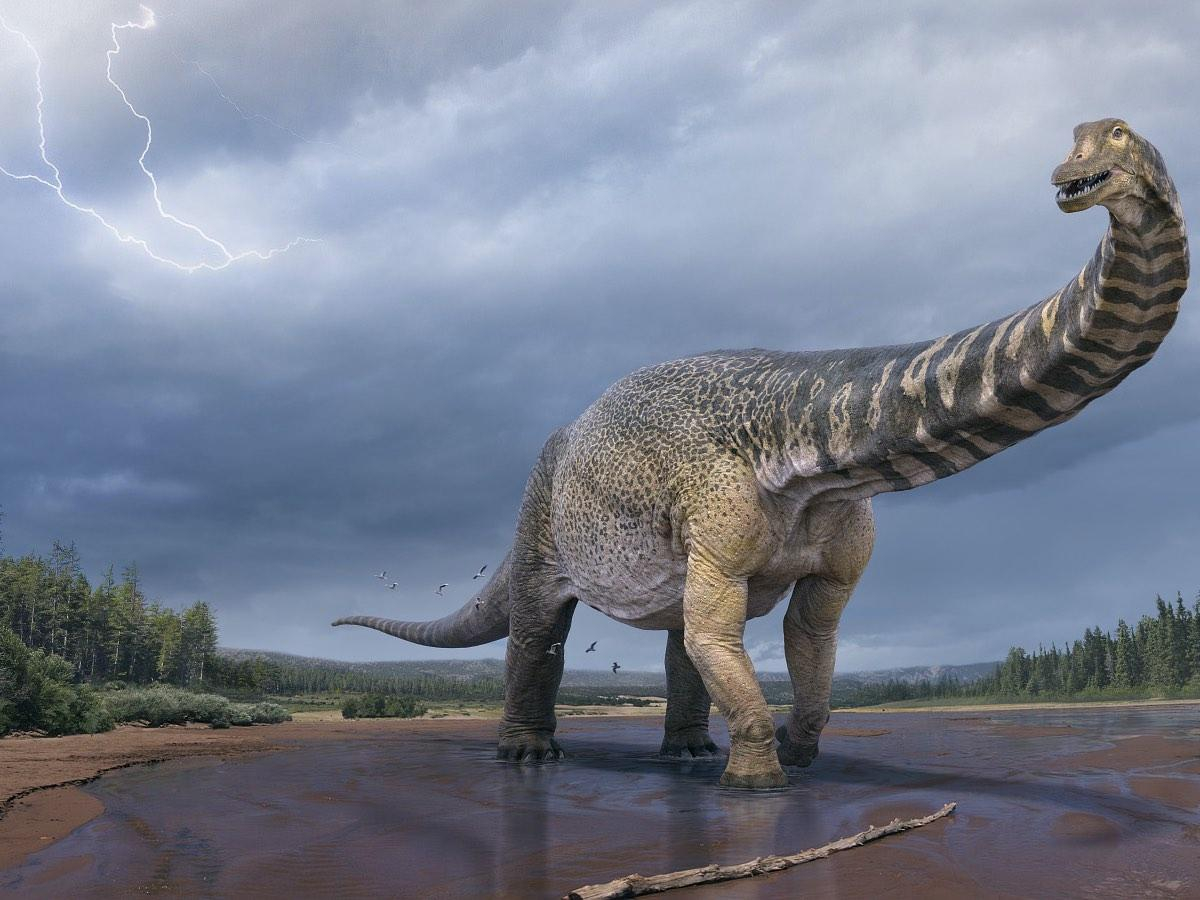 Динозавр з довгою шиєю: в Австралії знайшли велетенського завропода