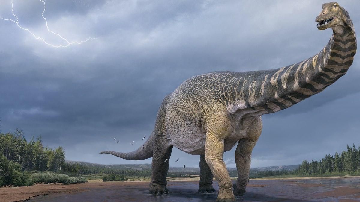 Динозавр с длинной шеей: в Австралии нашли гигантского завропода