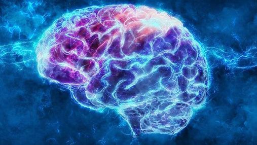 Комп'ютер навчили пророкувати вподобання людини за сигналами мозку