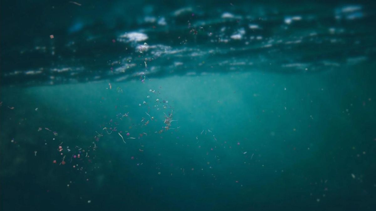 Вчені знайшли спосіб, як зменшити кількість мікропластику в океані