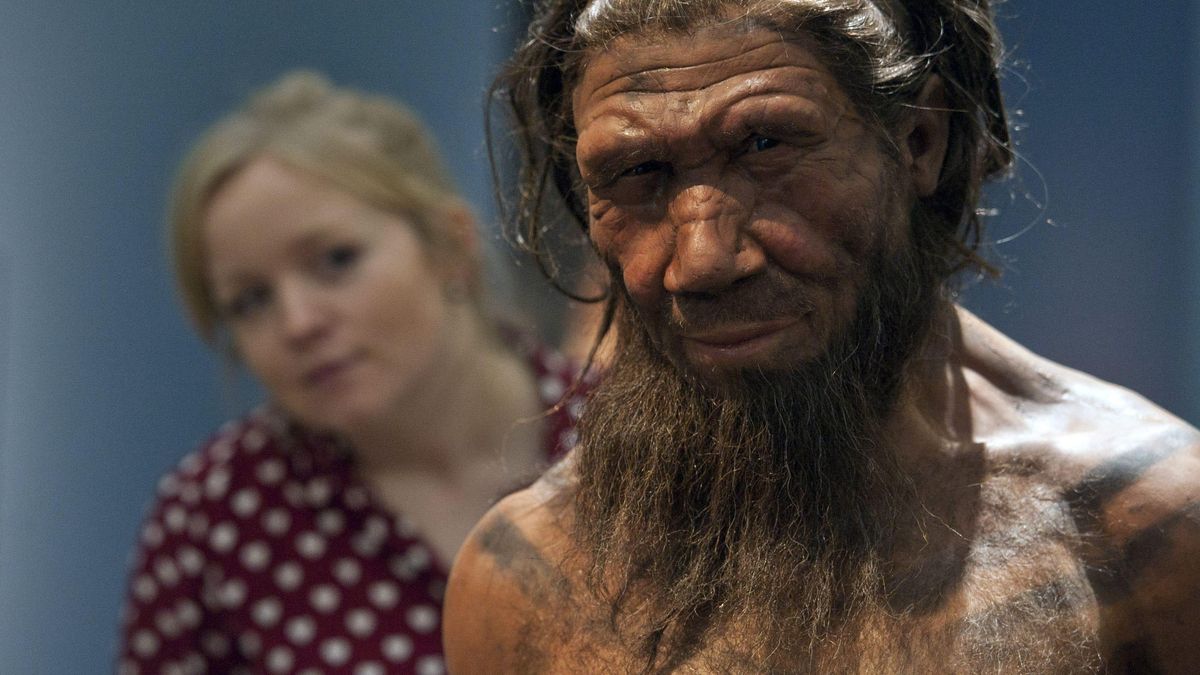 Неандертальці: наскільки людина схожа на неандертальця