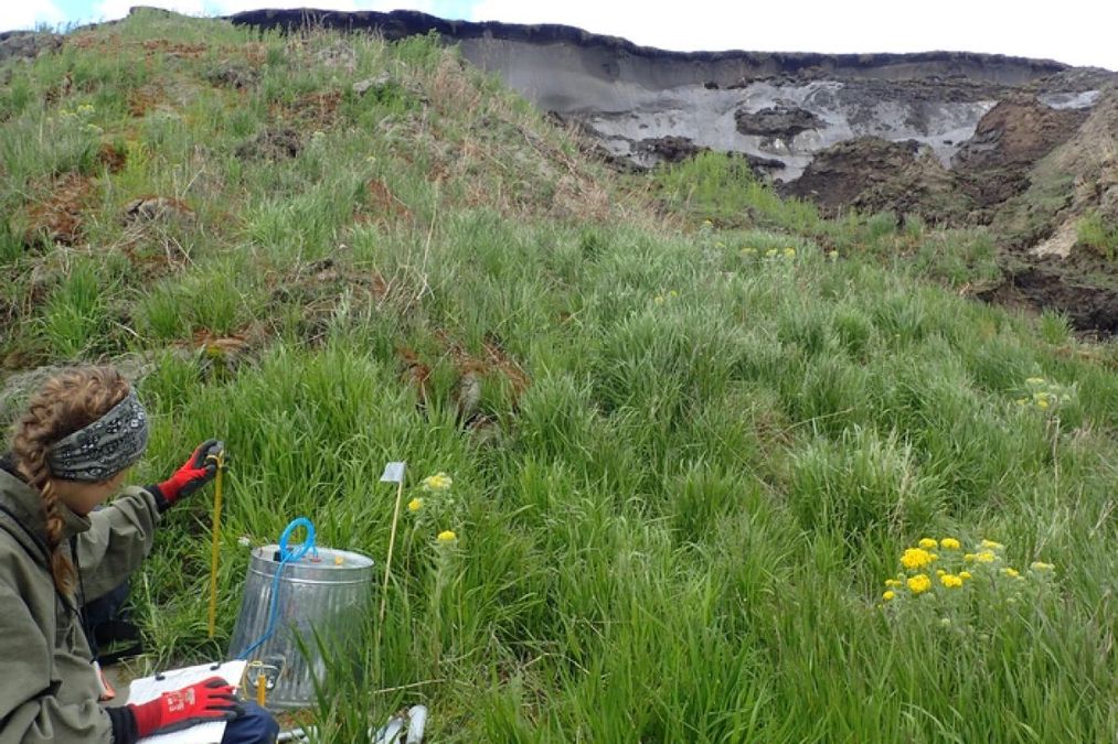 У вічній мерзлоті виявлено нове джерело парникових газів - Новини технологій - Техно