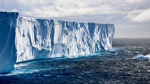 Під льодовиком в Антарктиді виявили багату екосистему: вона виживає у суцільній темряві