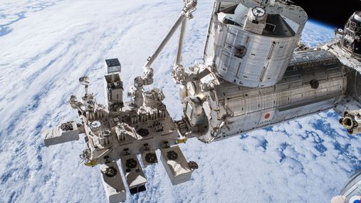 На МКС успішно виростили салат у пакеті: технологію застосують для далеких подорожей у космосі