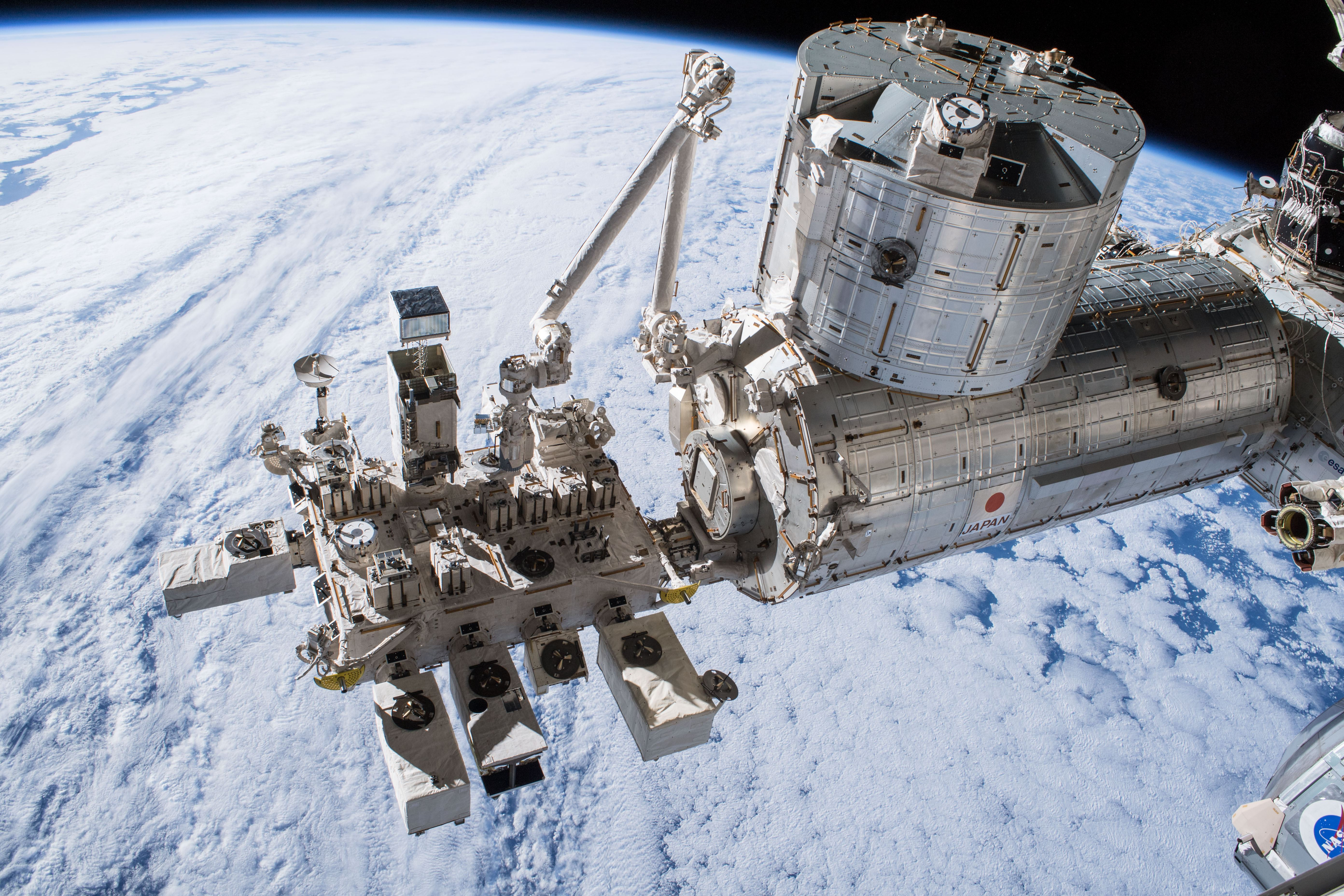 На МКС успешно вырастили салат в пакете: технологию применят для дальних путешествий в космосе