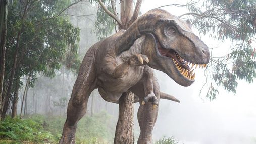 Ученые узнали в какое время года упал астероид, который погубил динозавров