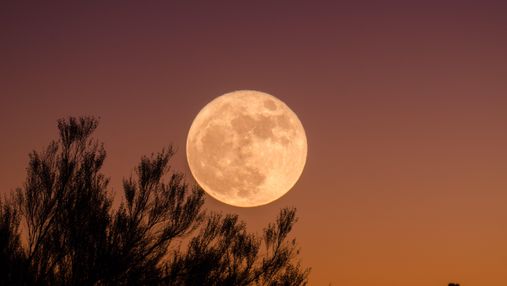 Лунный календарь на февраль-2022: когда можно увидеть полнолуние