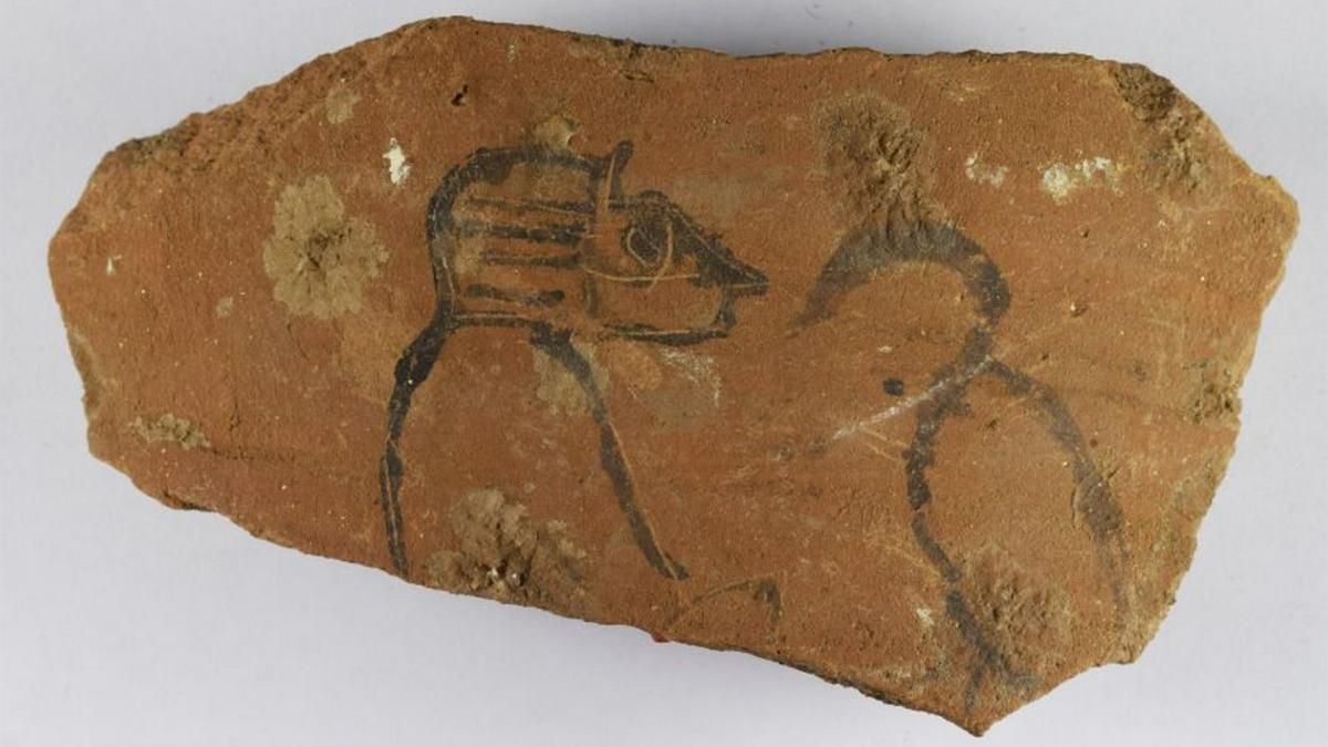 Записки з минулого: археологи знайшли тисячі табличок, де описане життя давніх єгиптян - Новини технологій - Техно