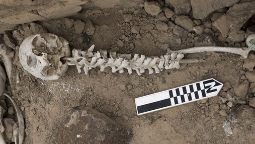 Моторошна знахідка в Перу: людські хребти та черепи, нанизані на палички