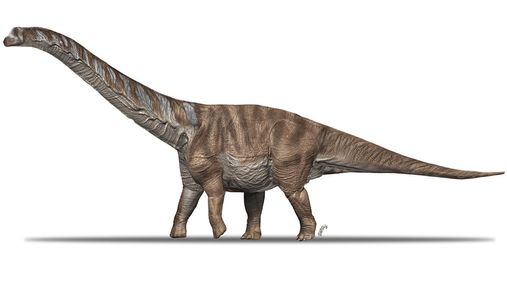 В Іспанії відкопали невідомого раніше велетенського титанозавра