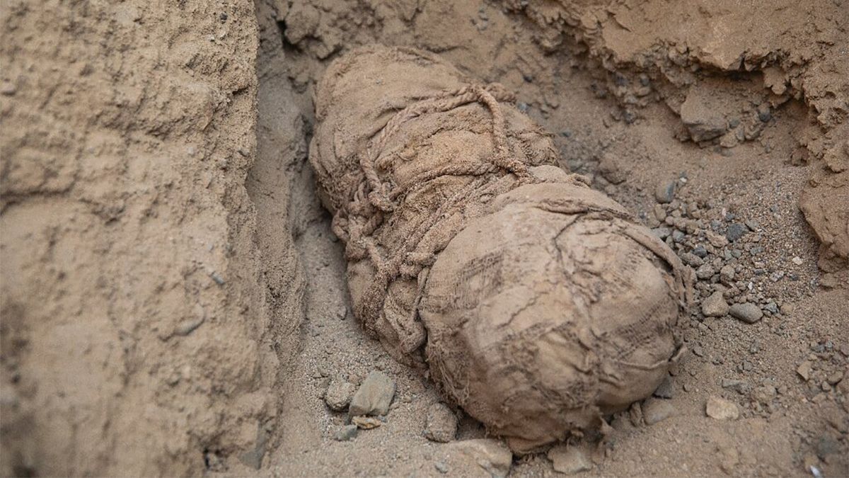 В Перу обнаружили мумии детей, которых принесли в жертву