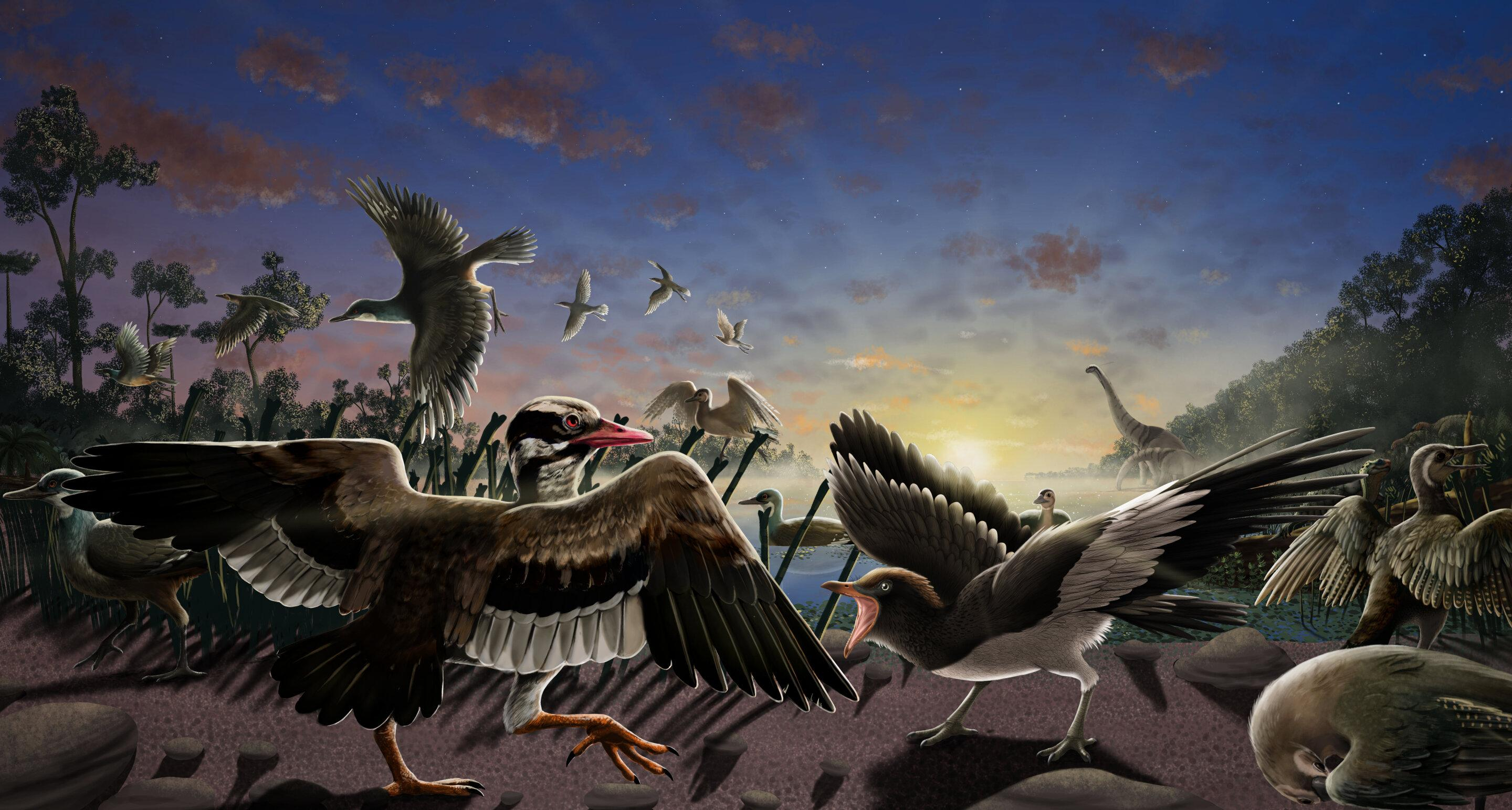 Біля Великої китайської стіни знайшли кістки птахів, яким десятки мільйонів років - Техно
