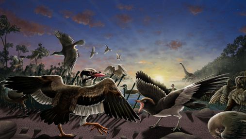 У Великой Китайской стены нашли кости птиц, которым десятки миллионов лет