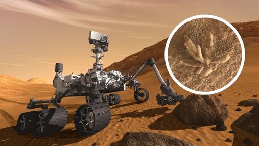 Ровер Curiosity зафиксировал красивый "цветок" на Марсе